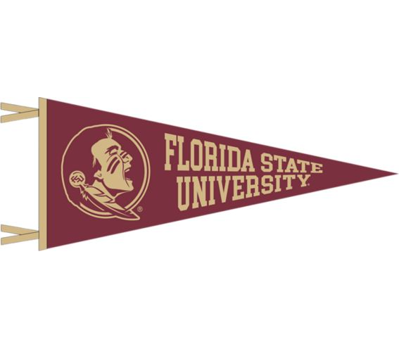 Florida State University Seminoles 6'' x 15'' Pennant