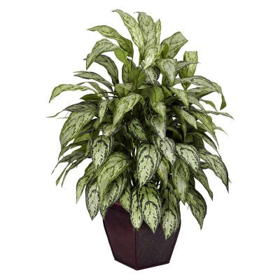 Silver Queen With Decorative Planter Silk Plant