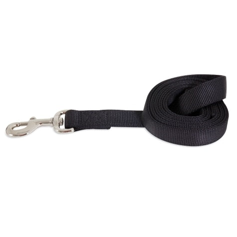 Petmate Nylon Standard Core Dog Leash