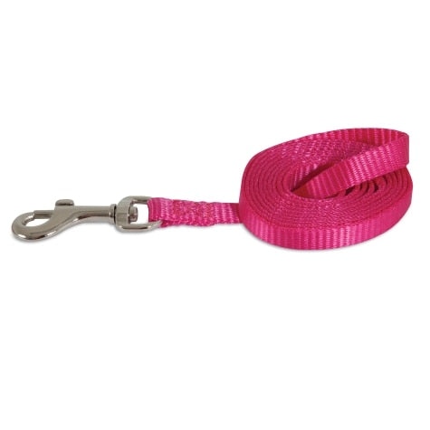 Petmate Nylon Standard Core Dog Leash