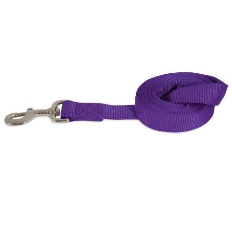 Petmate Nylon Standard Core Dog Leash