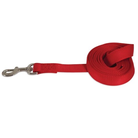 Petmate Nylon Standard Core Dog Leash