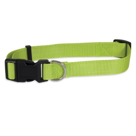 Petmate Nylon Adjustable Dog Collar