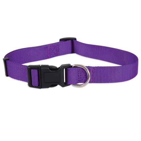 Petmate Nylon Adjustable Dog Collar